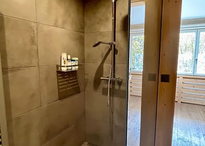 Apartment Luxurious Flat With Terrace Stunning Views Gstaad